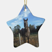 ミルクチョコレートブラウン馬ブルー セラミックオーナメント (左)
