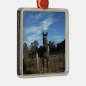 ミルクチョコレートブラウン馬ブルー メタルオーナメント (右)