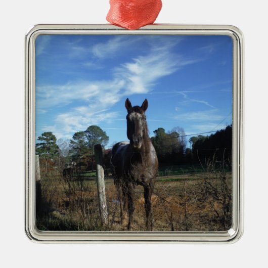 ミルクチョコレートブラウン馬ブルー メタルオーナメント (正面)
