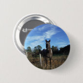 ミルクチョコレートブラウン馬ブルー 缶バッジ (正面&裏面)