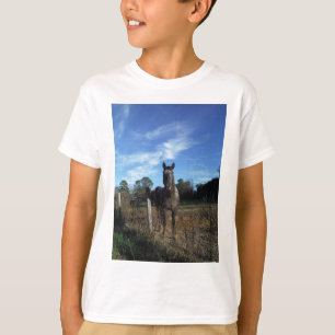 ミルクチョコレートブラウン馬ブルー Tシャツ