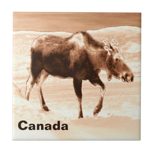 ミルクチョコレートムース タイル (正面)