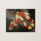 ミルクヘビ ジグソーパズル (横)