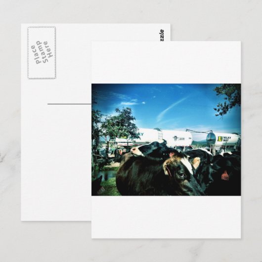 ミルク・トラック ポストカード (正面/裏面)