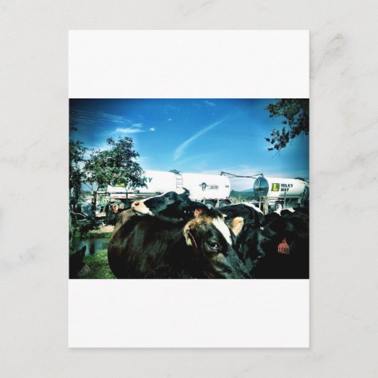 ミルク・トラック ポストカード (正面)