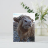 ミルク?! ポストカード (スタンド正面)