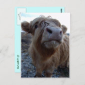 ミルク?! ポストカード (正面/裏面)