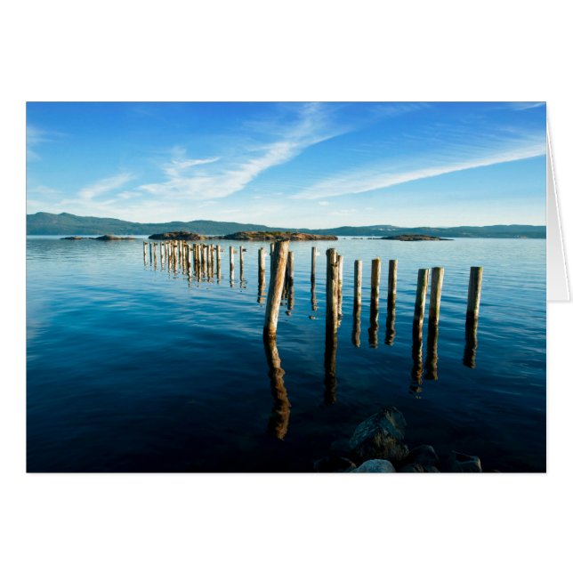 ミルテの残り (正面横)