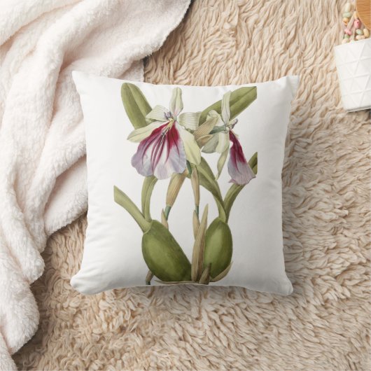 ミルトニアスペクタビリスラン植物装飾用クッション クッション (ブランケット)