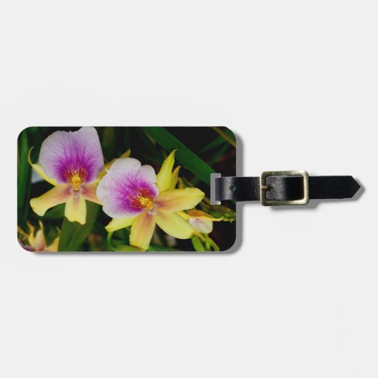 ミルトニア・サンセット ラゲッジタグ (正面横)