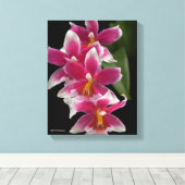 ミルトニオダ桜 キャンバスプリント (インサイチュ (ウッドフロア))