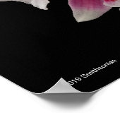 ミルトニオダ桜 ポスター (角)