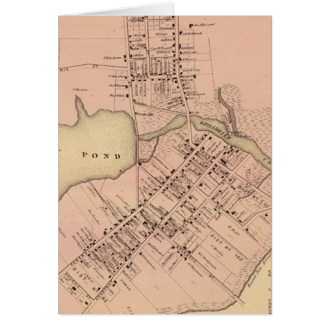 ミルトンデラウェア (正面)