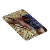 ミルトン月曜日マグネット マグネット (右側)