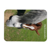 ミルトン月曜日マグネット マグネット (横)