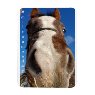 ミルトン月曜日マグネット マグネット