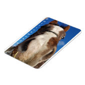 ミルトン月曜日マグネット マグネット (左側)