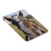 ミルトン月曜日マグネット マグネット (右側)