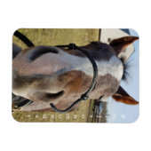 ミルトン月曜日マグネット マグネット (横)