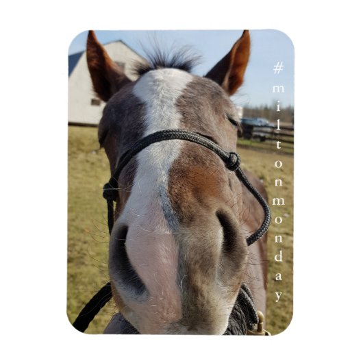 ミルトン月曜日マグネット マグネット (縦)