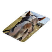 ミルトン月曜日マグネット マグネット (左側)