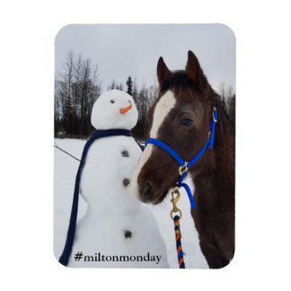 ミルトン月曜日マグネット マグネット