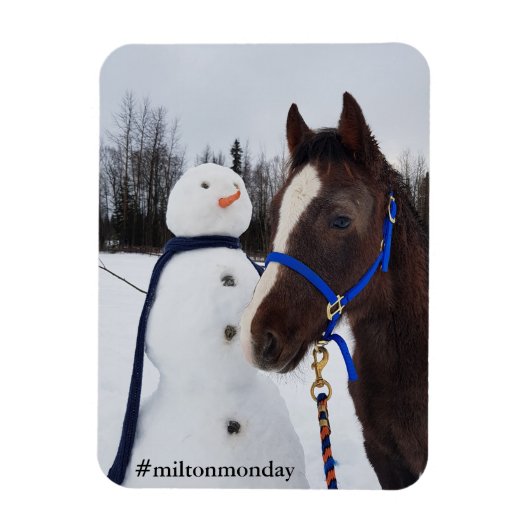ミルトン月曜日マグネット マグネット (縦)