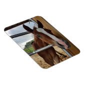 ミルトン月曜日マグネット マグネット (右側)