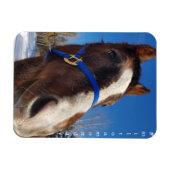 ミルトン月曜日マグネット マグネット (横)