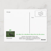 ミルナーパス・エルク ポストカード (裏面)