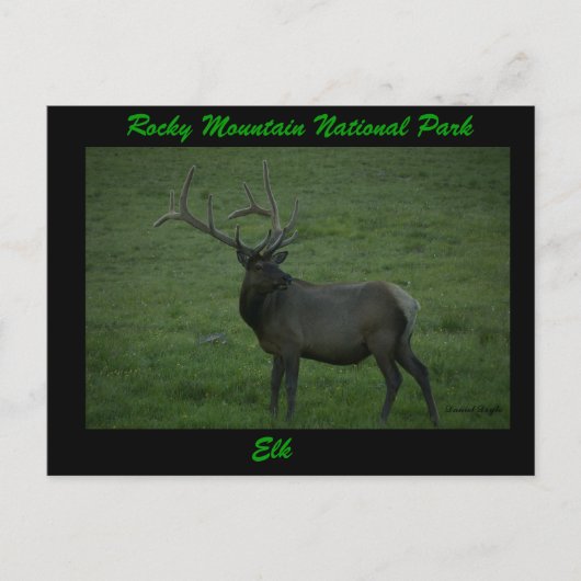 ミルナーパス・エルク ポストカード (正面)