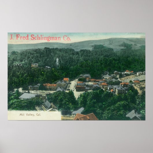 ミルバレーミルバレーの空中表示 ポスター (正面)