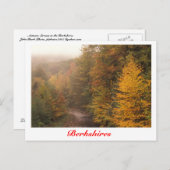 ミルブルック秋、バークシャーズストリーム ポストカード (正面/裏面)