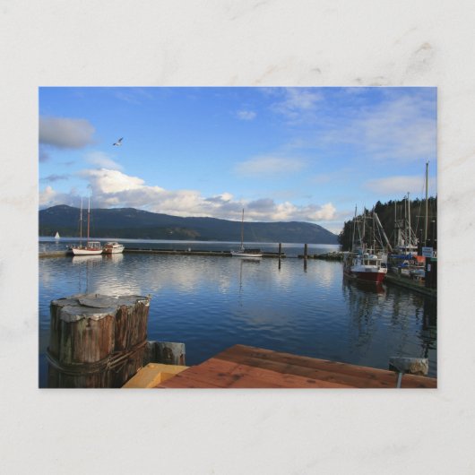 ミルベイ ポストカード (正面)