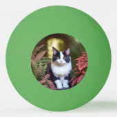 ミルリーラグドール猫ピンポンボール 卓球ボール (正面)