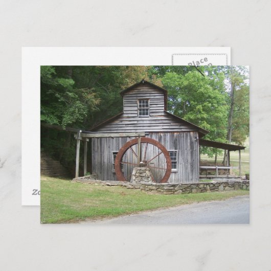 ミル ポストカード (正面/裏面)