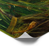 ミレアオフェリアCC0008ポスター ポスター (角)