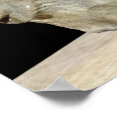 ミレトスからのライオン ポスター (角)