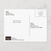 ミレニアムパーク春シーズンナイトハガキ ポストカード (裏面)