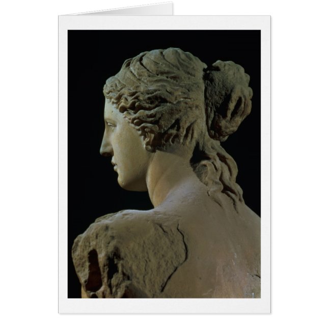 ミロのビーナスの頭部の背部の詳細、ヘリコプター (正面)