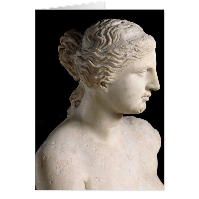 ミロのビーナス (正面)