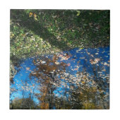 ミロア鏡秋タイル タイル (正面)