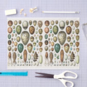 ミロイラスト、卵、デコパージュ 薄葉紙 (クラフト)