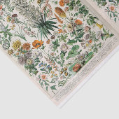 ミロイラスト、植物学、デコページ 薄葉紙 (詳細)