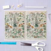 ミロイラスト、植物学、デコページ 薄葉紙 (クラフト)