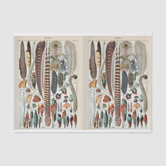 ミロイラスト、鳥の羽、デコパージュ 薄葉紙 (正面)