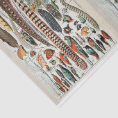 ミロイラスト、鳥の羽、デコパージュ 薄葉紙 (詳細)