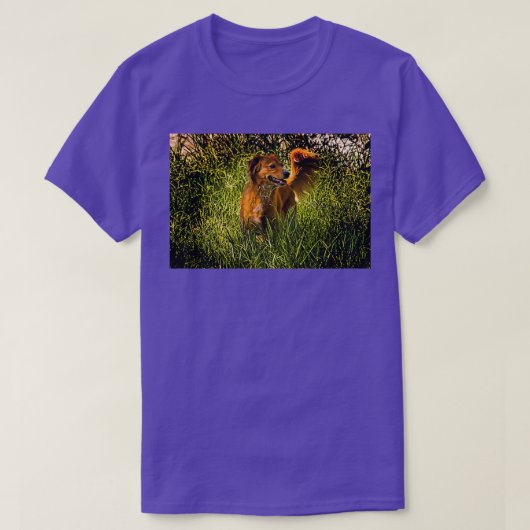 ミロカマリポサIIへのトリビュート Tシャツ (デザイン正面)