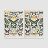 ミロ蝶 薄葉紙 (正面)