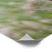 ミンクプリント ポスター (角)